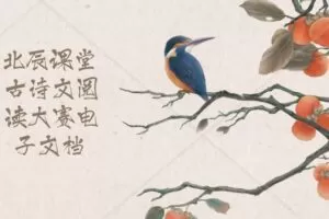 北辰课堂 古诗文阅读大赛电子文档