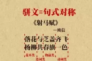 乐乐课堂 唐诗唐前诗宋词元曲动画视频