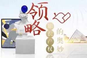 华东政法大学教授王迁《知识产权法》