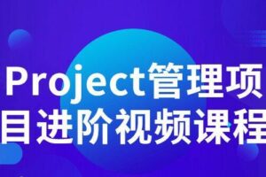 Project管理项目进阶视频课程