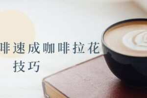 花式咖啡速成咖啡拉花技巧