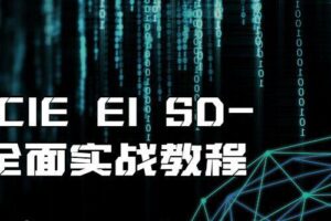 思科CCIE EI SD-WAN全面实战教程