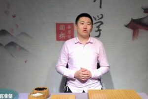 芝麻学社《少年第一堂围棋启蒙课》