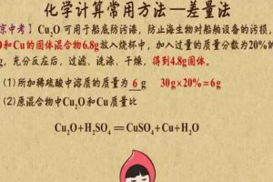 乐乐课堂 中考化学能力提升课（突破提分）