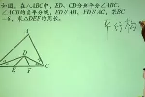 董小磊 中考数学专题角：平分线攻略轻松行