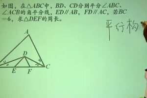 董小磊 中考数学专题角：平分线攻略轻松行