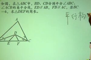 董小磊 中考数学专题角：平分线攻略轻松行