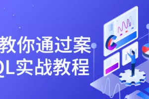 手把手教你通过案例学SQL实战教程