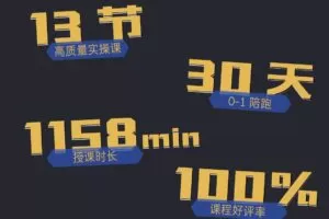 疯人院 TikTok Dou+掘金特训营（第三期）