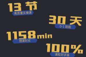 疯人院 TikTok Dou+掘金特训营（第三期）
