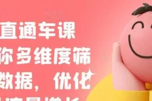 盗坤·直通车课程，教你多维度筛选分析数据，优化店铺及流量增长