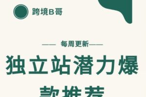 【跨境B哥】独立站潜力爆款选品推荐，测款出单率高达百分之80（每周更新）