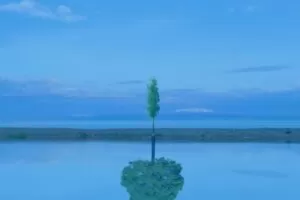 【捐赠[红包]39.90·《YL2858-天使在线学院-编织生命之旅，成就更高自我-84岁北美资深教育家Betty-Staley》】