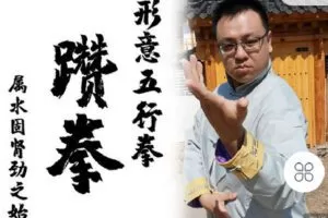 【捐赠[红包]39.90·《C1279-书洋证道-形意五行拳之躜拳》】