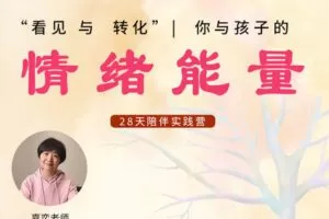 【捐赠[红包]29.90·《YL2855-天使在线学院-“看见与转化”你与孩子的情绪能量-嘉奕老师》】