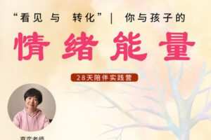【捐赠[红包]29.90·《YL2855-天使在线学院-“看见与转化”你与孩子的情绪能量-嘉奕老师》】