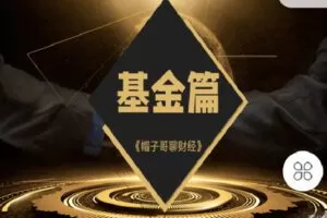 【捐赠[红包]29.90·《Z2686-帽子哥的创富学堂- 帽子哥的创富学堂（基金篇）》】