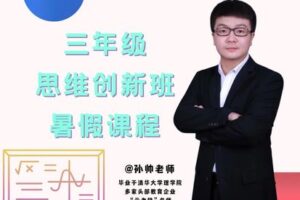 【捐赠[红包]39.90·《YL2953-毕冶老师-专注中高考数学-2022三年级思维创新班暑假课程》】