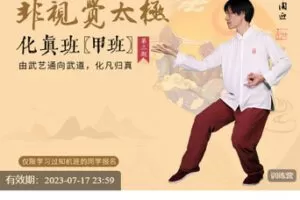 【捐赠[红包]49.99·《AL5313-非视觉太极化真甲》】