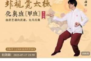 【捐赠[红包]49.99·《AL5313-非视觉太极化真甲》】