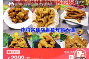 【捐赠[红包]39.90·《C0768-DBZD-加盟店炸肉炸排骨&香草炸鸡核心技术》】