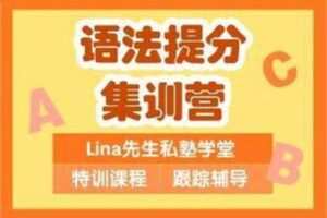【捐赠[红包]29.90·《YL3113-Lina先生私塾学堂-语法提分集训营》】