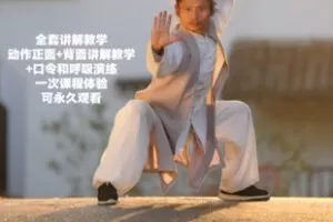 【捐赠[红包]36.50·《AL5341-武当道家五行气功_资勤在杭州》】