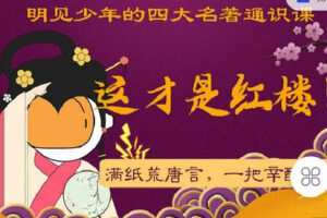 【捐赠[红包]9.90·《C1003-明见少年-明见少年四大名著通识课《这才是红楼》》】