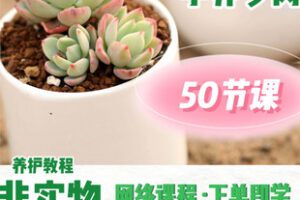 【捐赠[红包]12.00·《AL5504-从零开始学养多肉【50节多肉养护课程】_欧木优多肉课堂》】