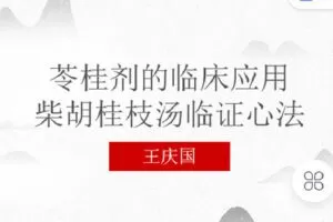 【捐赠[红包]19.90·《Z2266-有道中医教育-王庆国教授2020最新系列课》】