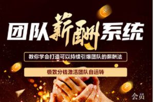 【捐赠[红包]119.90·《C1268-智汇商学线上商学院-帮扶会员专属【团队薪酬系统】》】