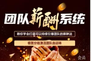 【捐赠[红包]119.90·《C1268-智汇商学线上商学院-帮扶会员专属【团队薪酬系统】》】