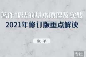 【捐赠[红包]19.90·《Z2461-北大法宝学堂-著作权法的基本原理及实践—2021年修订版重点解读》】