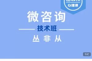 【捐赠[红包]99.99·《AL5311-微咨询技术班2023【丛非从】》】