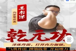 【捐赠[红包]29.90·《C1281-书洋证道-乾元功》】