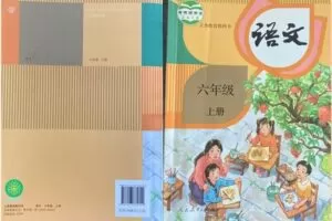 【捐赠[红包]29.90·《YL2989-正比例文化网课-青菜老师讲课内作文（六上）》】