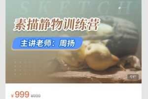 【35[红包]·S8704【艺库素描】周扬素描静物训练营】