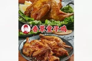 【29[红包]·F1736鸭脖哥香草童子鸡教学（开店/摆摊热品）】