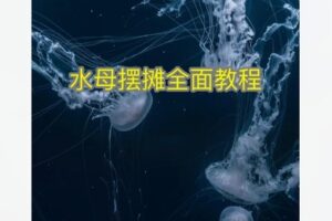 【19[红包]·F1735水母摆摊教学，渠道，养殖，出摊，起号】