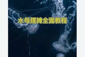 【19[红包]·F1735水母摆摊教学，渠道，养殖，出摊，起号】