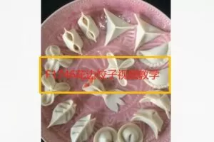 【19[红包]·F1746花边饺子视频教学】