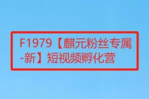 【26[红包]·F1979【麒元粉丝专属-新】短视频孵化营】