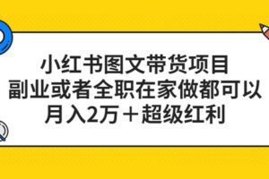 【网赚上新】043.小红书图文带货项目，副业或者全职在家做都可以，月入2万＋超级红利