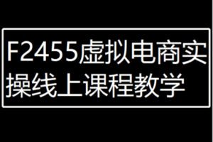 【20[红包]·F2455虚拟电商实操线上课程教学】