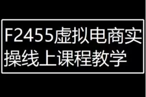 【20[红包]·F2455虚拟电商实操线上课程教学】