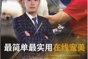 【25[红包]·F2505Tonny邓宠美技能培训课程(高级)】