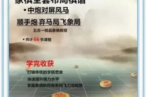 【12[红包]·F2699中炮全套布局棋谱】