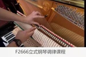 【19[红包]·F2666立式钢琴调律课程】
