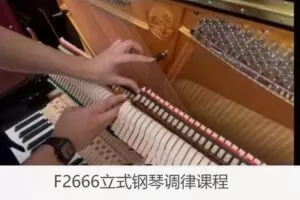 【19[红包]·F2666立式钢琴调律课程】