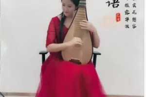 【17[红包]·F2654琵琶进阶课程（29节）】